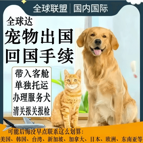 张掖宠物托运到柬埔寨宠物入境规定和要求