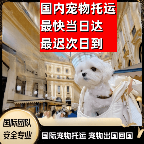 张掖到澳大利亚（澳洲）宠物入境规定和要求