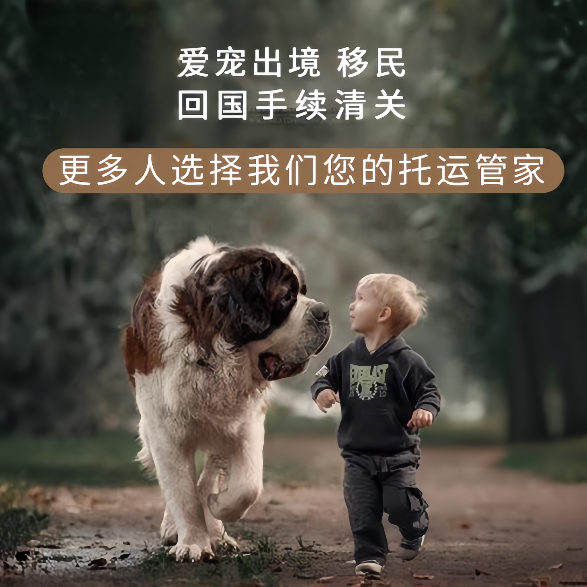 满财张掖宠物全球达宠物托运在遵守入境目的地政策的条件
