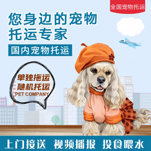 满财张掖宠物全球达宠物托运作为专业的宠物运输代理机构